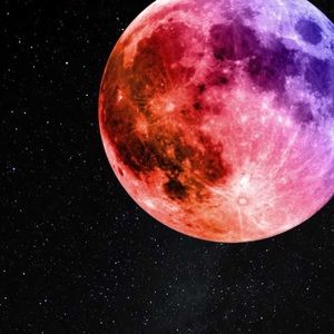 Meet your Posher, Carter